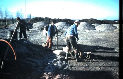 Bilder vom Balbon Leo