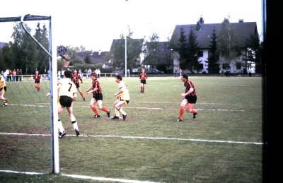 Bilder vom Balbon Leo