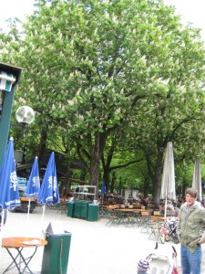 Vatertag Hirschgarten 2012