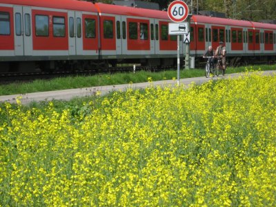 Vatertag Hirschgarten 2013