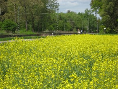 Vatertag Hirschgarten 2013