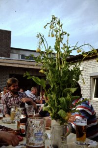 Heimmarsch Reinhartshausen 1978