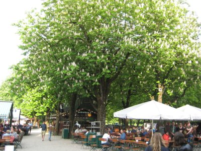 Vatertag Hirschgarten 2015