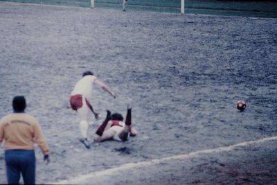 Pfingstturnier Zwiesel