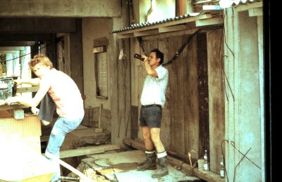 Fotosammlung Leo (Weihnachten 2018)