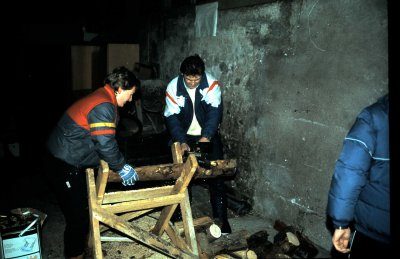 Fotosammlung Leo (Weihnachten 2018)