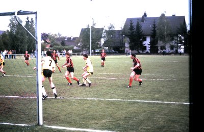 Fotosammlung Leo (Weihnachten 2018)