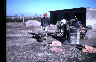 Fotosammlung Leo (Weihnachten 2018)