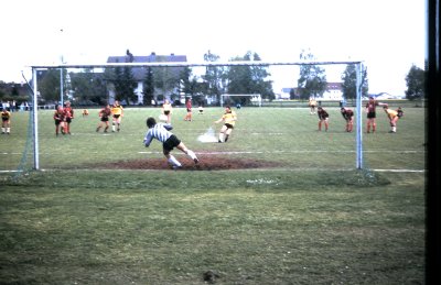 Fotosammlung Leo (Weihnachten 2018)