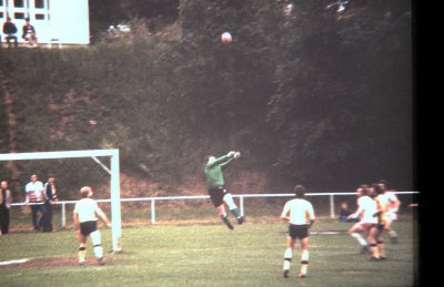 Fotosammlung Leo (Weihnachten 2018)