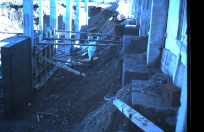 Fotosammlung Leo (Weihnachten 2018)