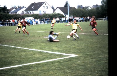 Fotosammlung Leo (Weihnachten 2018)