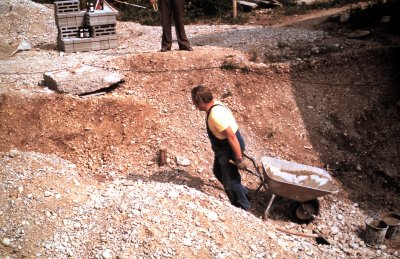 Fotosammlung Leo (Weihnachten 2018)