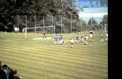 Fotosammlung Leo (Weihnachten 2018)