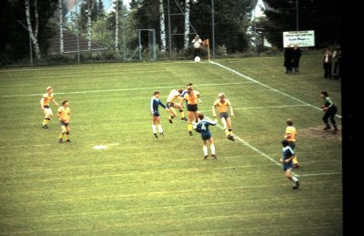 Fotosammlung Leo (Weihnachten 2018)